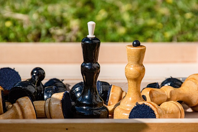 和維尼修斯 和維尼修斯